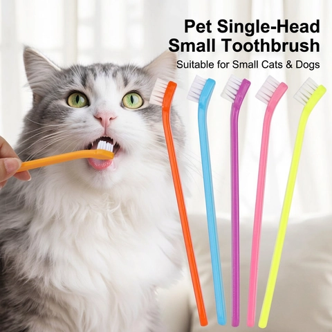 Haustier Zahnbürste Für Katzen Und Hunde Mundreinigung PP Griff Nylon Weiche Borsten Lange Gebogene Mini Bürstenkopf Bunt
