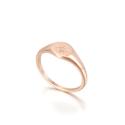 Anillo Sello Acero Inoxidable Estrella Del Norte Grabada Minimalista Pulido Vintage Punk Estilo Joyería Para Hombre Mujer