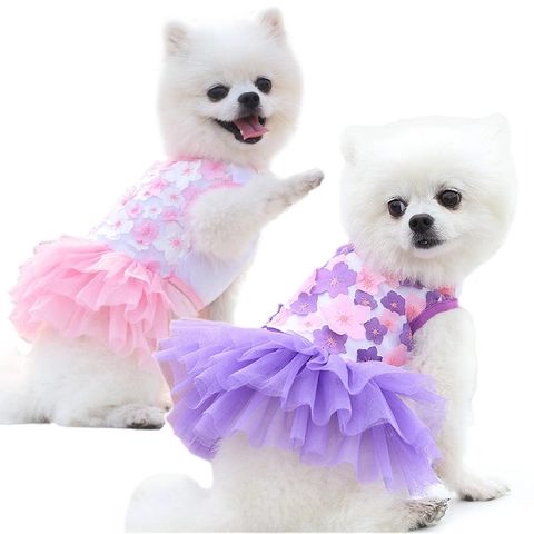 Robe Pour Animaux Coton Maille Tulle Applique Florale Tutu Style Princesse Pour Petits Chiens Chats Chiot Vêtements Élégants