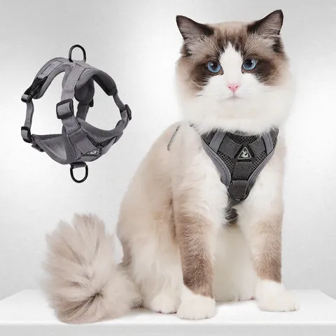 Pettorina E Guinzaglio Per Gatti Riflettente Gilet In Rete Traspirante Regolabile Anti-Fuga Sicurezza Per Cani Piccoli