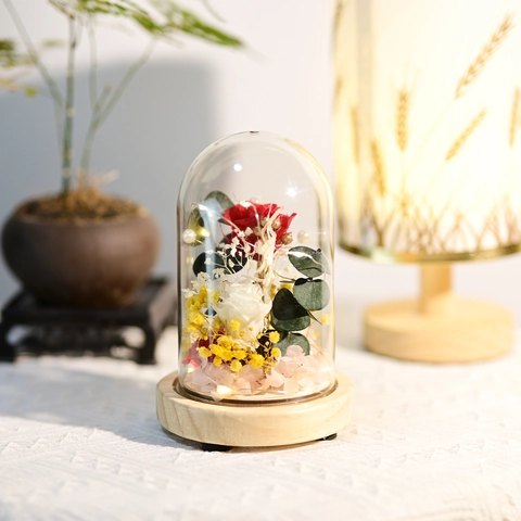 Rosa Stabilizzata In Cupola Di Vetro Con Luce LED Base In Legno Regalo Rosa Eterna Per San Valentino Festa Della Mamma Compleanno