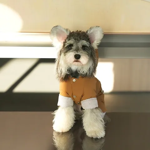 Pet Dog Jumpsuit Winter Coat Padded Hooded Waterproof Windproof With Leash D-Ring Striped Cuffs Warm Four-Legged Apparel