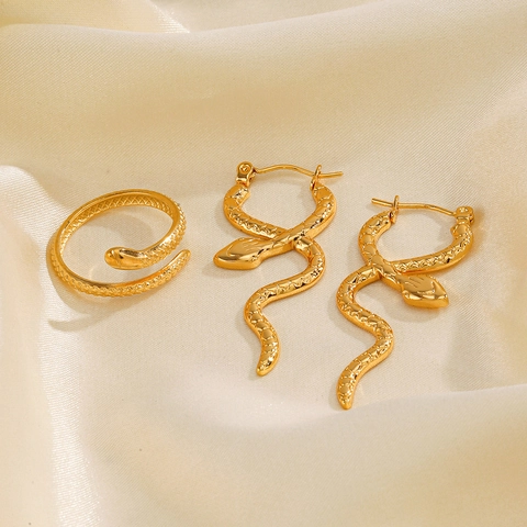 Vintage Slang Sieraden Roestvrij Staal Verguld Slangenring En Oorbellen Retro Etnische Stijl Mode Vrouwen