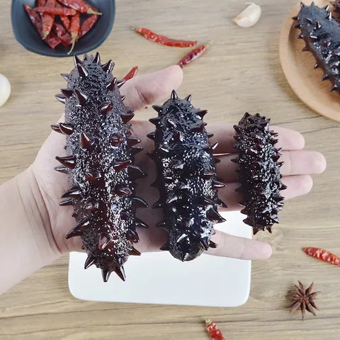 Realistic Simulation Sea Cucumber Model PVC Plastic Artificial Seafood Food Prop Prank Toy Kitchen Display Educational Tool