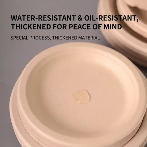 Piatti Usa E Getta In Polpa Di Canna Da Zucchero Stoviglie Di Carta Biodegradabili Spesse Resistenti Ad Acqua E Olio