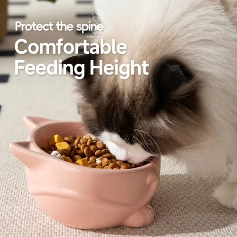 Ceramic Cat Bowl Raised Elevated Slanted Pet Food Water Dish Neck Protection Cat Ear Shape Cute Design Kittens Puppies