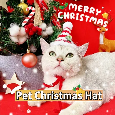 Cappello E Collare Natalizio Per Animali Domestici In Maglia Decorazione Stella Pompon Per Gatti Cani Piccoli Accessori