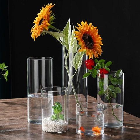 Cylinder Glass Vase High Borosilicate Glass Hydroponic Plant Pot Desktop Minimalist Flower Arrangement Decorative Container