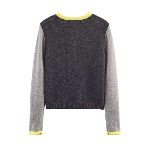 Dames Gebreid Vest Trui Color Block Ronde Hals Knoopsluiting Lange Mouwen Casual Acryl Polyester Mix Chique Tops