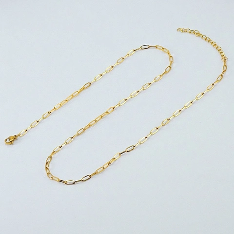 Collana A Catena Con Graffetta In Acciaio Al Titanio Placcato Oro Per Donna Collana A Maglie Versatile Minimalista
