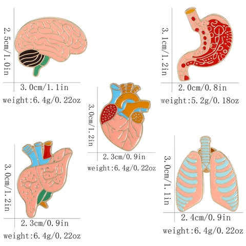 Anatomie Orgaan Emaille Pin Hart Hersenen Long Lever Maag Legering Broches Medische Studenten Verpleegster Artsen Cadeau Badge