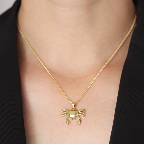 Meerestier Anhänger Halskette Gold Plattiert Kupfer Zirkonia Schildkröte Seestern Krabbe Delphin Schmuck Für Frauen