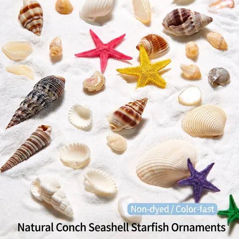 Decoración Arte De Uñas Serie Océano Concha Natural Caracola Estrella De Mar Resina Para Manicura DIY Estilo Playa Hawái