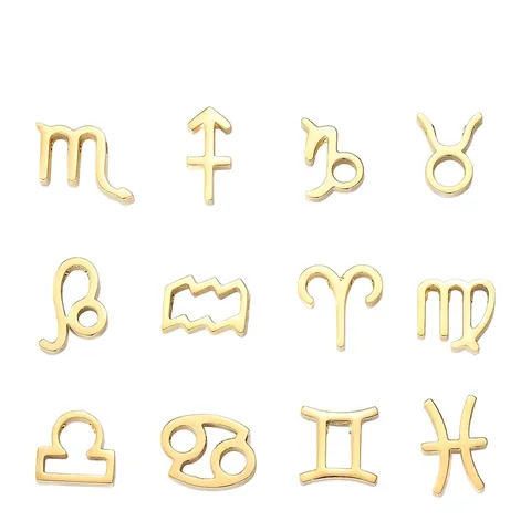 Pendentif Minimaliste en Acier Inoxydable Douze Signes du Zodiaque Accessoires de Bijoux DIY Charme Zodiaque Électroplaqué pour Collier