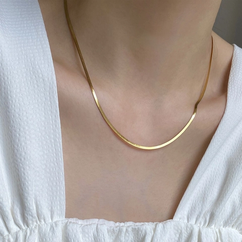 Collar Cadena De Serpiente Plana Acero De Titanio Minimalista Elegante Joyería Mujeres