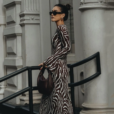 Dames Sexy Transparante Mesh Maxi Jurk Lange Mouwen Zebra Bloemenprint Ronde Hals Bohemian Streetwear Clubwear