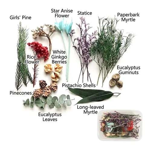 Lot de Fleurs Séchées Naturelles Mixtes Matériel Floral Fait Main DIY pour Bijoux en Résine Bougies Décoration de Maison