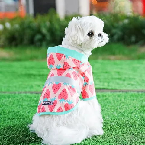 Dog Raincoat Waterproof Hooded Reflective Strip Fruit Print Pattern Lightweight Quick Drying For Small Medium Dogs With Bag