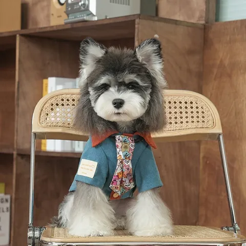 Retro Corduroy Dog Shirt With Tie Vintage Cartoon Bear Pattern Pet Clothes For Small Medium Dogs Fall Winter Outfit