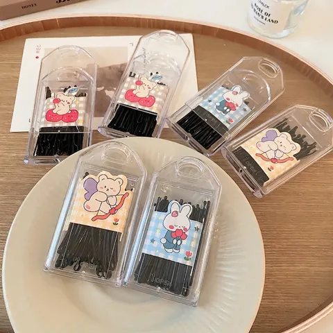 Schwarze Haarklammern Metall Haarclips Für Frauen Mädchen Tragbare Transparente Aufbewahrungsbox Cartoon Aufkleber Koreanischer Stil
