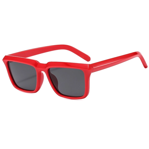 Square Frame Sunglasses UV400 Protection Retro Fashion PC Frame AC Lens Outdoor Driving Unisex Hip Hop Stylish Glasses