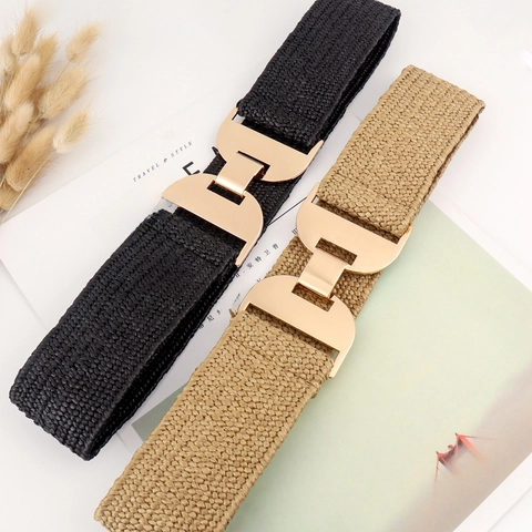 Cinturón de Corsé Tejido Elástico para Mujer Hebilla Geométrica de Aleación Moda Simple Color Sólido Cuero PU Ancho