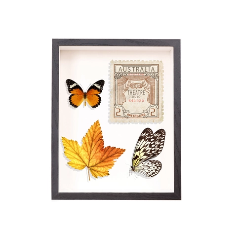 Shadow Box Picture Frame MDF Wood Depth Display Case Wall Hanging Tabletop For DIY Dried Flowers Specimens Wedding Photos