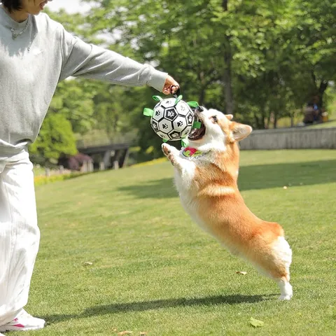 Interactive Dog Soccer Ball Toy With Nylon Grab Tabs Durable PU Inflatable Bouncy Training Ball For Outdoor Water Play
