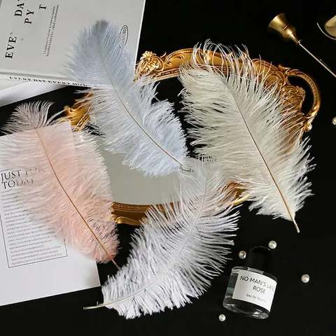 Plumes D'Autruche Naturelles Pour Décoration De Bouquet DIY Mariage Fête Artisanat Décoration Maison Douce Colorée Élégante