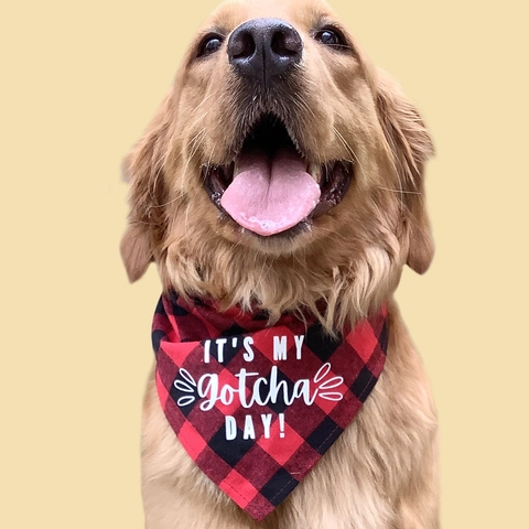Bandana Pour Animaux En Coton Buffalo Plaid Anniversaire Gotcha Day Écharpe Pour Chiens Et Chats