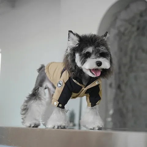Windproof Waterproof Hooded Pet Dog Jacket With Leash D-Ring For Small Medium Dogs Winter Warm Color Block Clothes