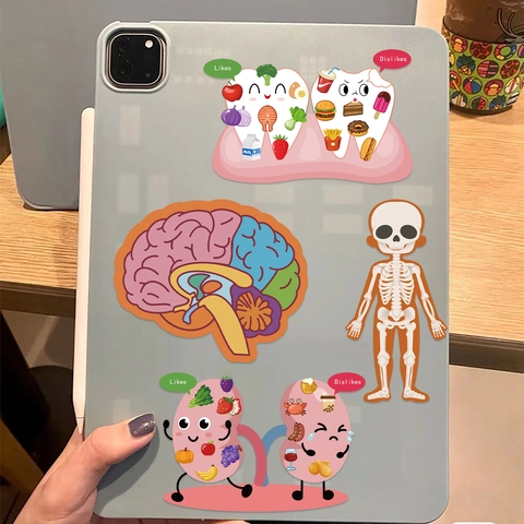 Adesivi Anatomia Umana PVC Impermeabile Educativo Organi Medici Ossa Cervello Per Laptop Borraccia Valigia Cartone Animato