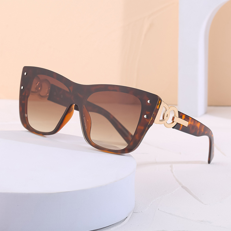 Wholesale Women Large Frame Cat Eye Sunglasses with Metal Chain Temple - Everful