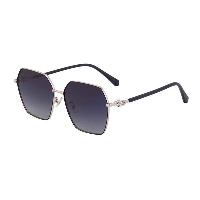 Wholesale Irregular Polygon Polarized Sunglasses TR Metal Frame For Women Men - Everful