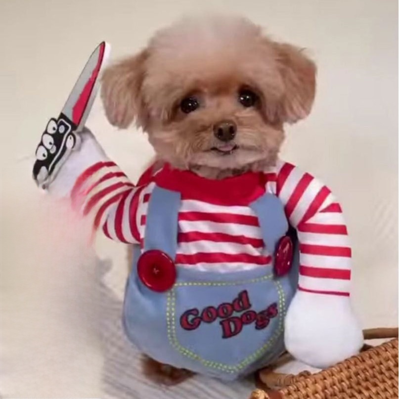 Funny Pet Halloween Cosplay Costume Dog Cat Horror Movie Character Outfit Courier Rider Snowman Pumpkin Christmas Party Dress Up Pet Clothing