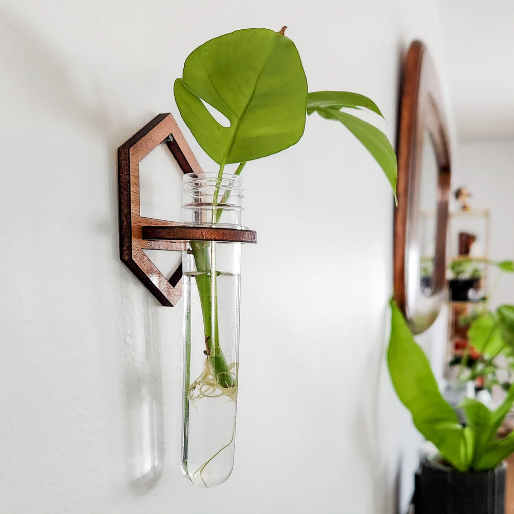 Wall Mounted Propagation Station Wooden Frame With Plastic Test Tube Vase For Hydroponic Plants Indoor Hanging Plant Terrarium Decor For Home Office