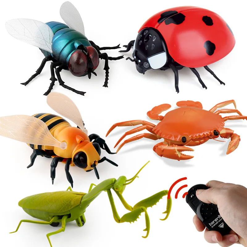 Giocattolo Animale Insetto Telecomandato Infrarossi RC Simulazione Realistica Mosca Coccinella Ape Mantide Scherzo Novità Plastica