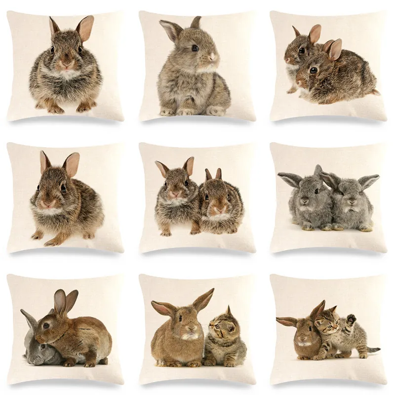 Housse De Coussin En Lin Lapin De Pâques Taie D'Oreiller Décorative Impression Numérique Décor De Canapé