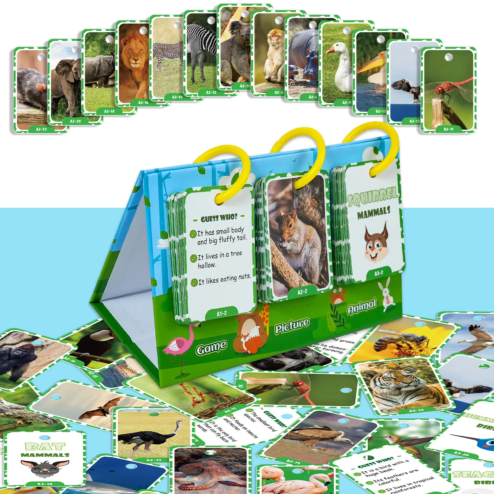 Realistic Animal Educational Flash Cards with Stand and Rings Interactive Cognitive Learning Toy Preschool Early Education