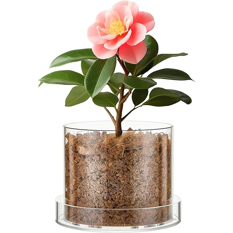 Vaso in Acrilico Trasparente Con Fori Di Drenaggio E Vassoio Vaso Da Fiori Rotondo Per Piante Da Interno Casa Ufficio