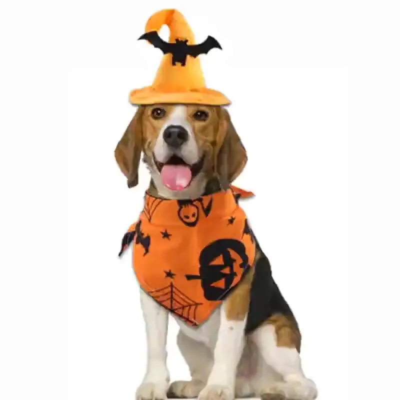 Ensemble de Déguisement d'Halloween pour Animaux Chapeau de Sorcier Chauve-souris Araignée Bandana Triangle Motif Citrouille pour Chiens Chats