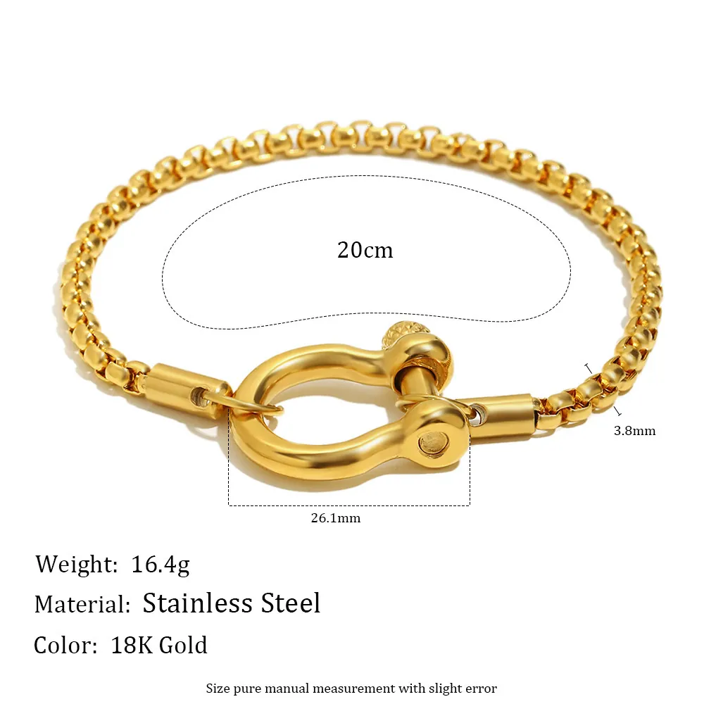 Collana con Ciondolo a Grillo e Fibbia a Ferro di Cavallo in Acciaio Inossidabile Design di Nicchia Bracciale a Catena Box Placcato Oro 18K per Donna Gioielli di Moda