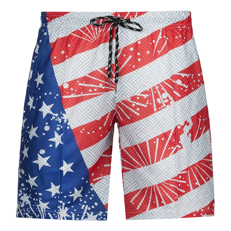 Men's Quick Dry Beach Shorts Geometric Lion Head Print US Flag Design Elastic Waist Drawstring Summer Casual Sports Swim Trunks