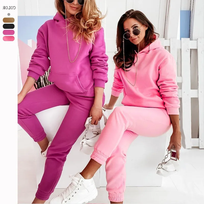 Damen Casual Einfarbig Kapuze Trainingsanzug Herbst Winter Langarm Hoodie Und Hose Jogging Sweatpants Locker Lounge Wear Anzüge