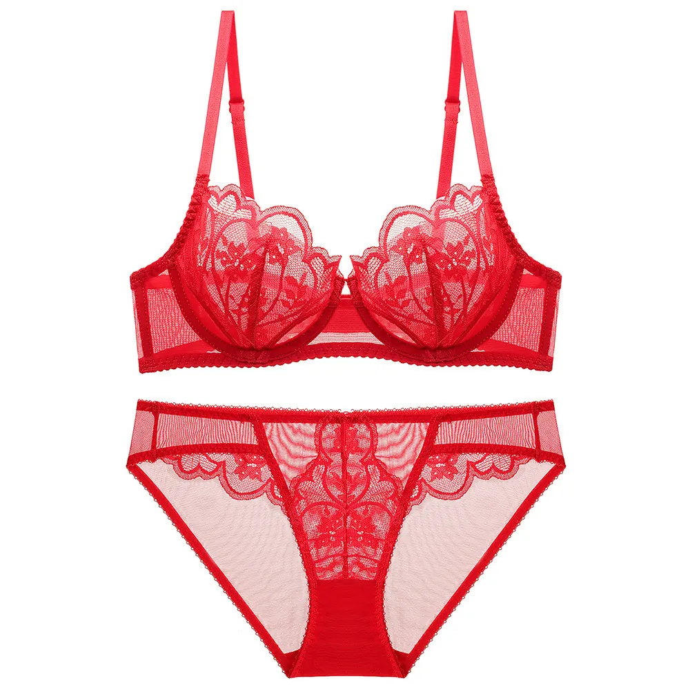 Women's Sexy Lace Lingerie Bra And Panty Ultra Thin Transparent Floral Embroidery Underwired Underwear Lingerie