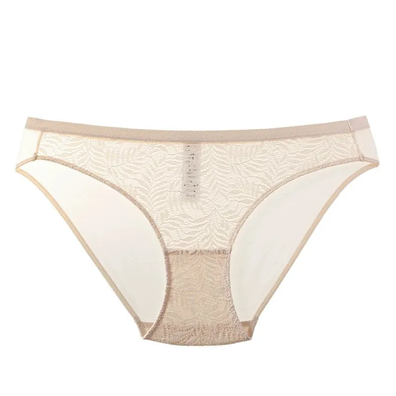 Sexy Lace Panties For Women French Style Ultra-Thin Breathable Low Waist Nylon Briefs With Cotton Crotch Everyday Lingerie