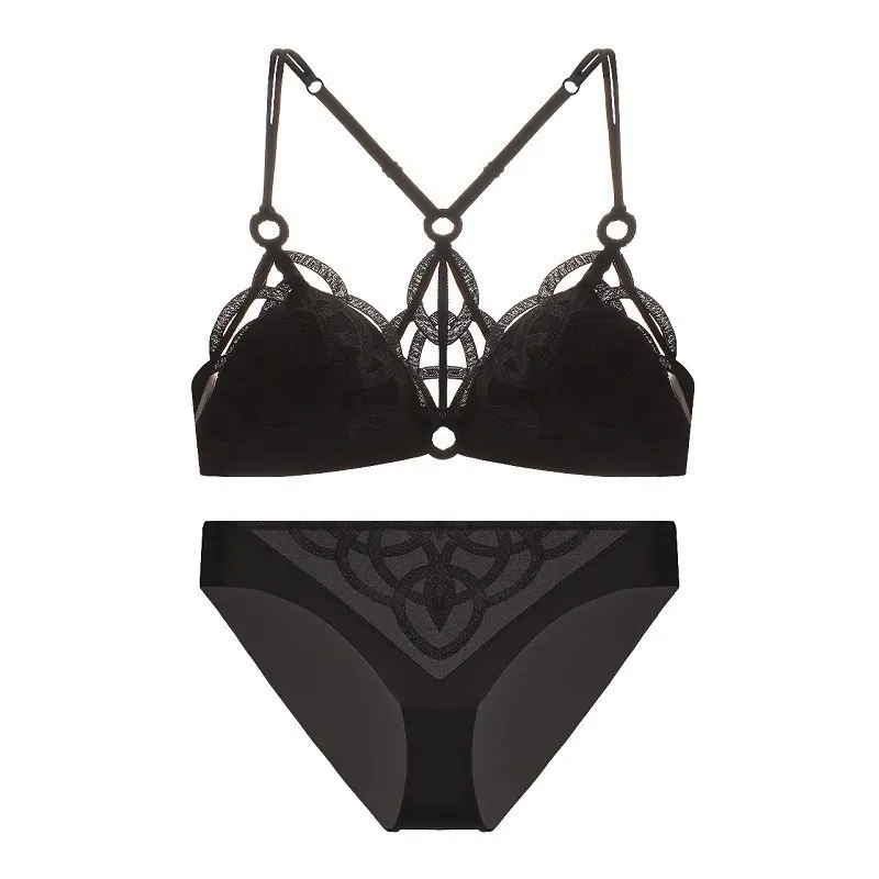 French Style Lace Embroidery Mesh Sexy Bra And Panty No Wire Triangle Cup Hollow Out Beautiful Back Women Underwear