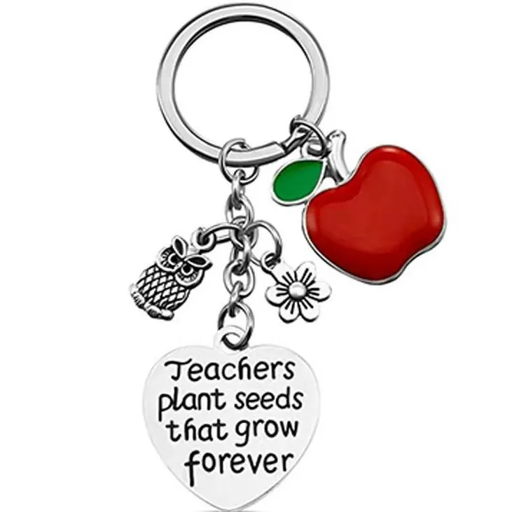 Stainless Steel Teacher Keychain Red Apple Owl Flower Heart Pendant Key Ring Teacher Appreciation Christmas Gift Jewelry