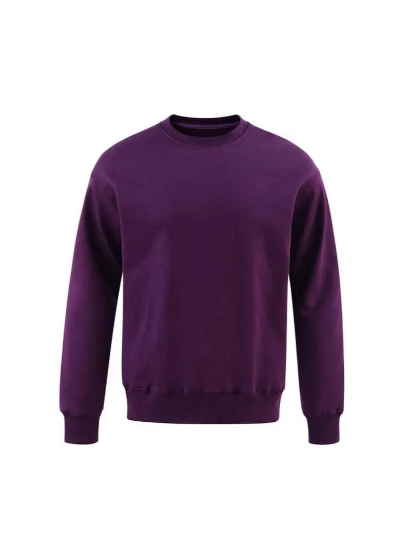 Unisex Loose Fleece Lined Sweatshirt Heavyweight Round Neck Pullover Long Sleeve Solid Color Warm Autumn Winter Casual Sporty Top