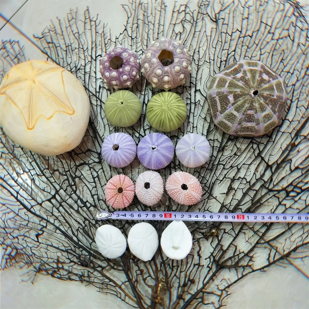 Natural Sea Urchin Shell Air Pineapple Planter Pot Mediterranean Coastal Home Decor Ocean Style Shell Ornaments For Indoor Plants Crafts
